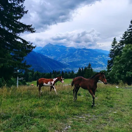 Apartamento La Tanière Des Cimes Sauna Privé Passy (Haute-Savoie)