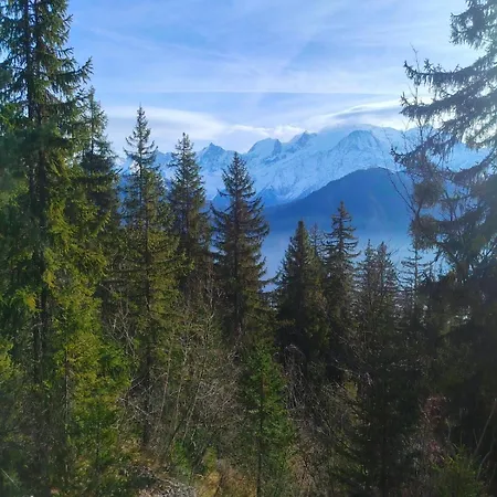 Apartamento La Tanière Des Cimes Sauna Privé Passy (Haute-Savoie)