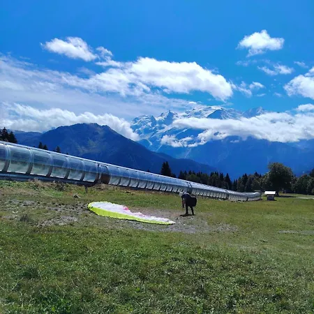 La Taniere Des Cimes Sauna Prive Apartment Passy (Haute-Savoie)